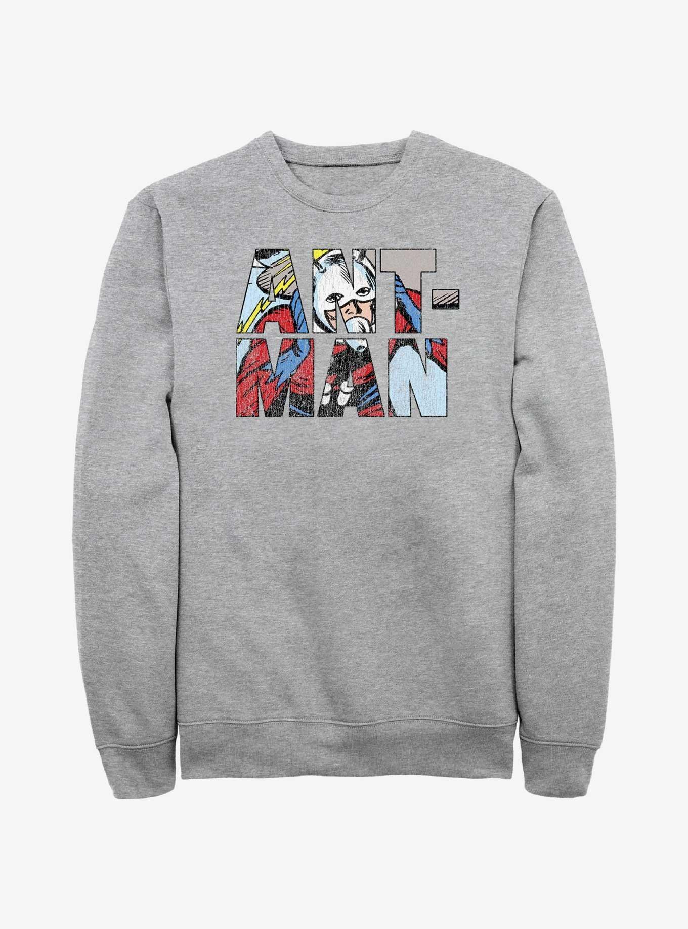 Marvel Ant-Man Namesake Logo Sweatshirt Product Image