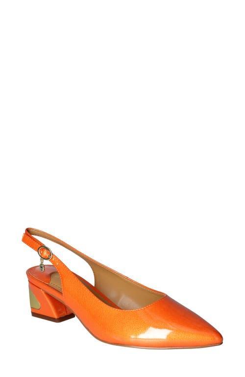 J. Rene J. Rene Shayanne Slingback Pointed Toe Pump Product Image