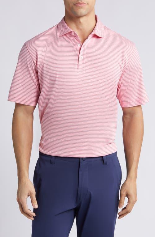 Peter Millar Crown Comfort Stripe Pima Cotton Polo Product Image