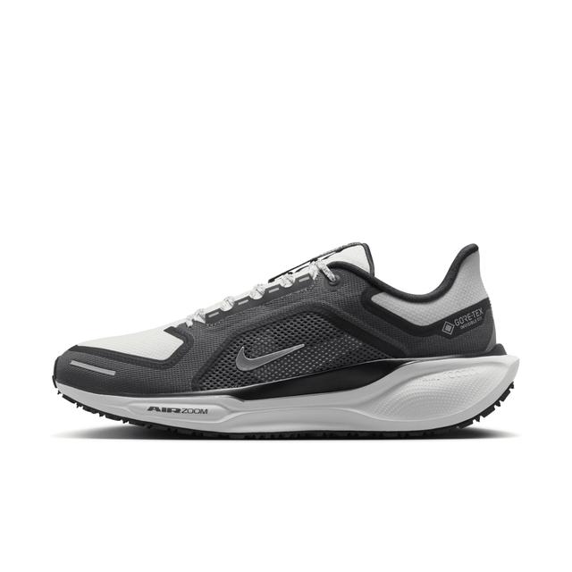 Nike Men's Pegasus 41 GORE-TEX Waterproof Road Running Shoes Product Image