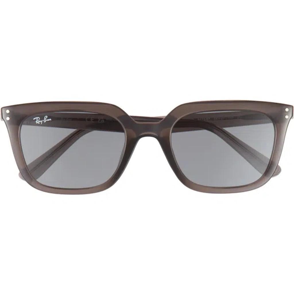 RAY BAN Ray-ban 54mm Square Sunglasses In Brown Product Image