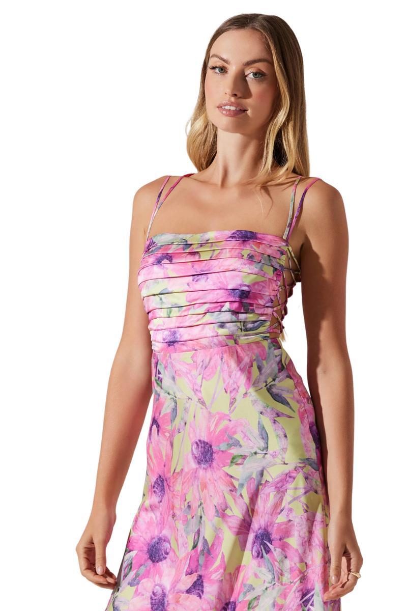 Antlia Dress Product Image