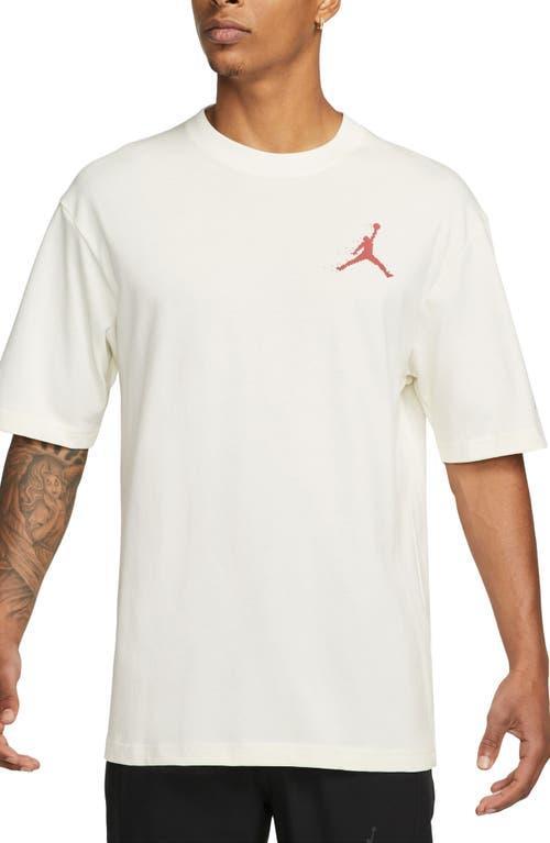 Jordan Essentials Holiday T-Shirt Product Image