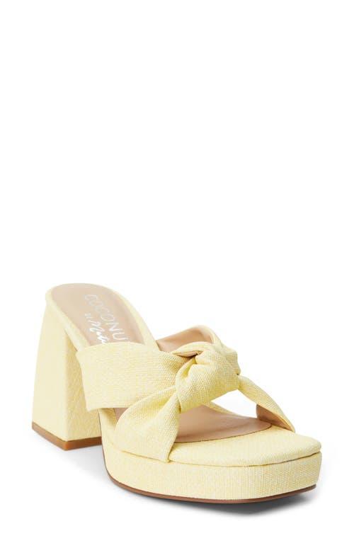 Coconuts by Matisse Esme Knot Slide Sandal Product Image