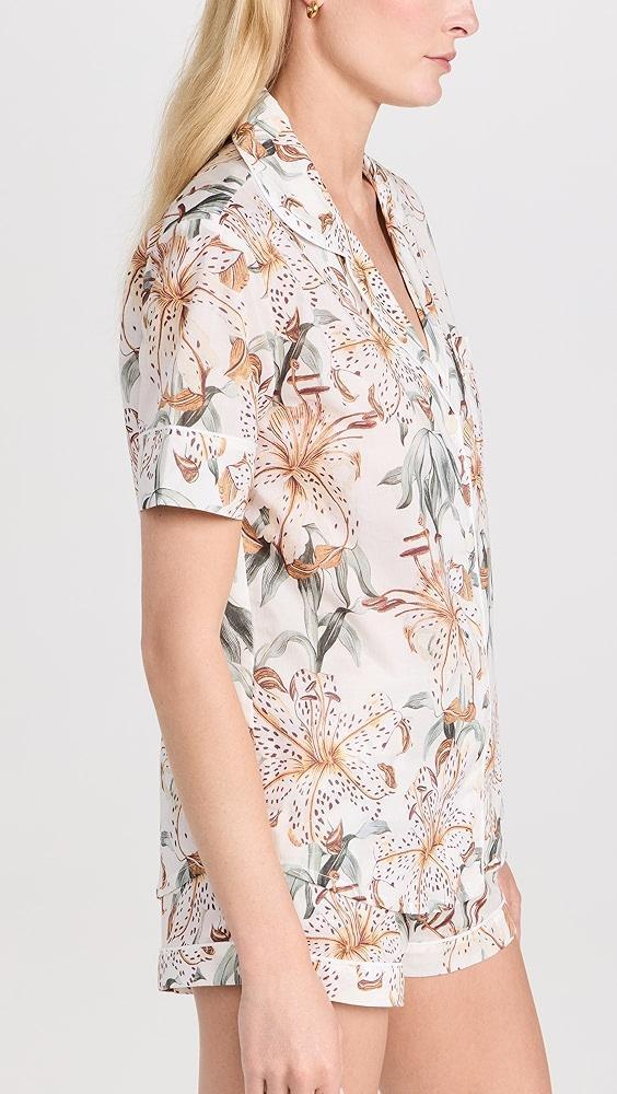 Desmond & Dempsey Womens Short Sleeve Set | Shopbop Product Image