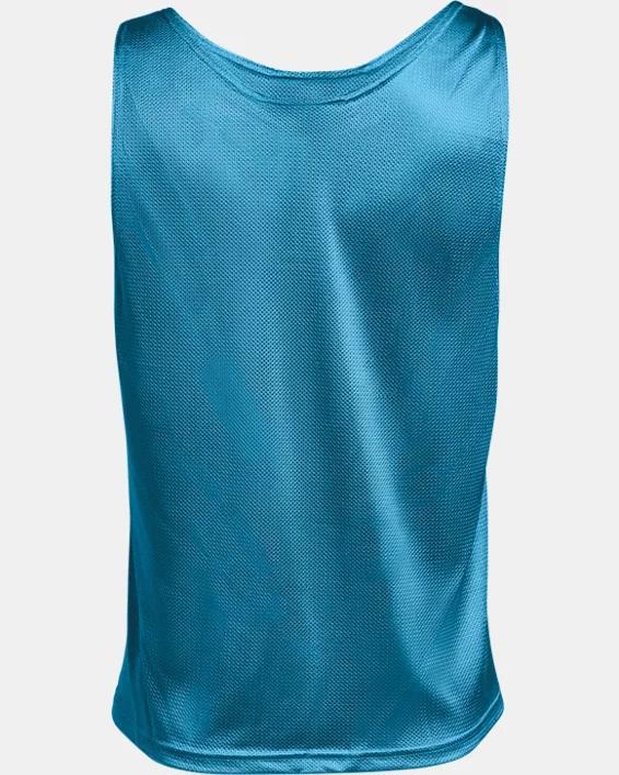 Men's UA Performance Training Bib Product Image