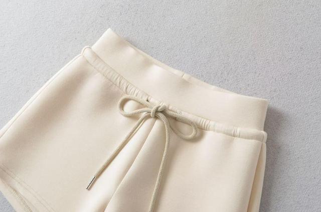 Drawstring Waist Plain Sweat Shorts Product Image