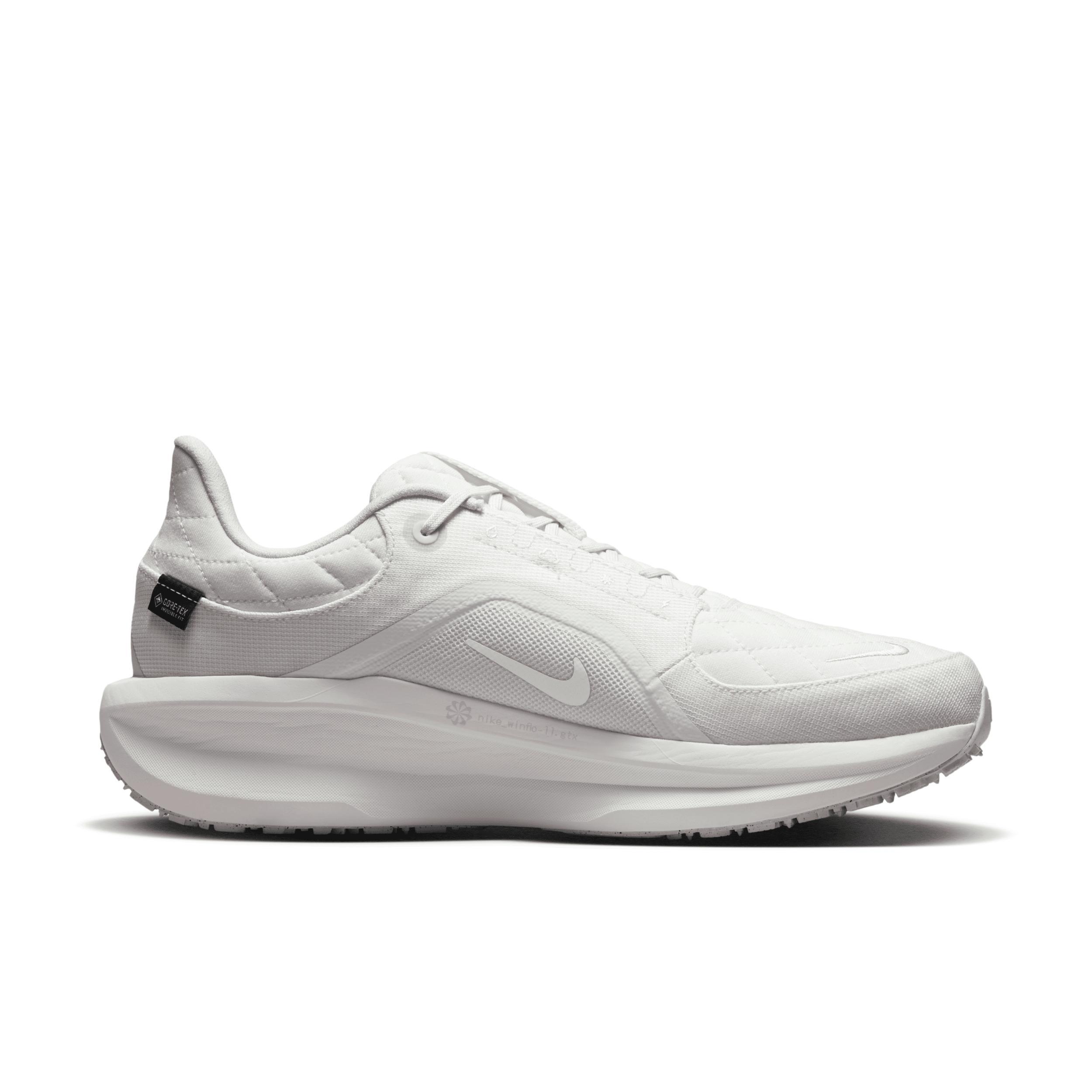 Nike Men's Winflo 11 GORE-TEX Waterproof Road Running Shoes Product Image