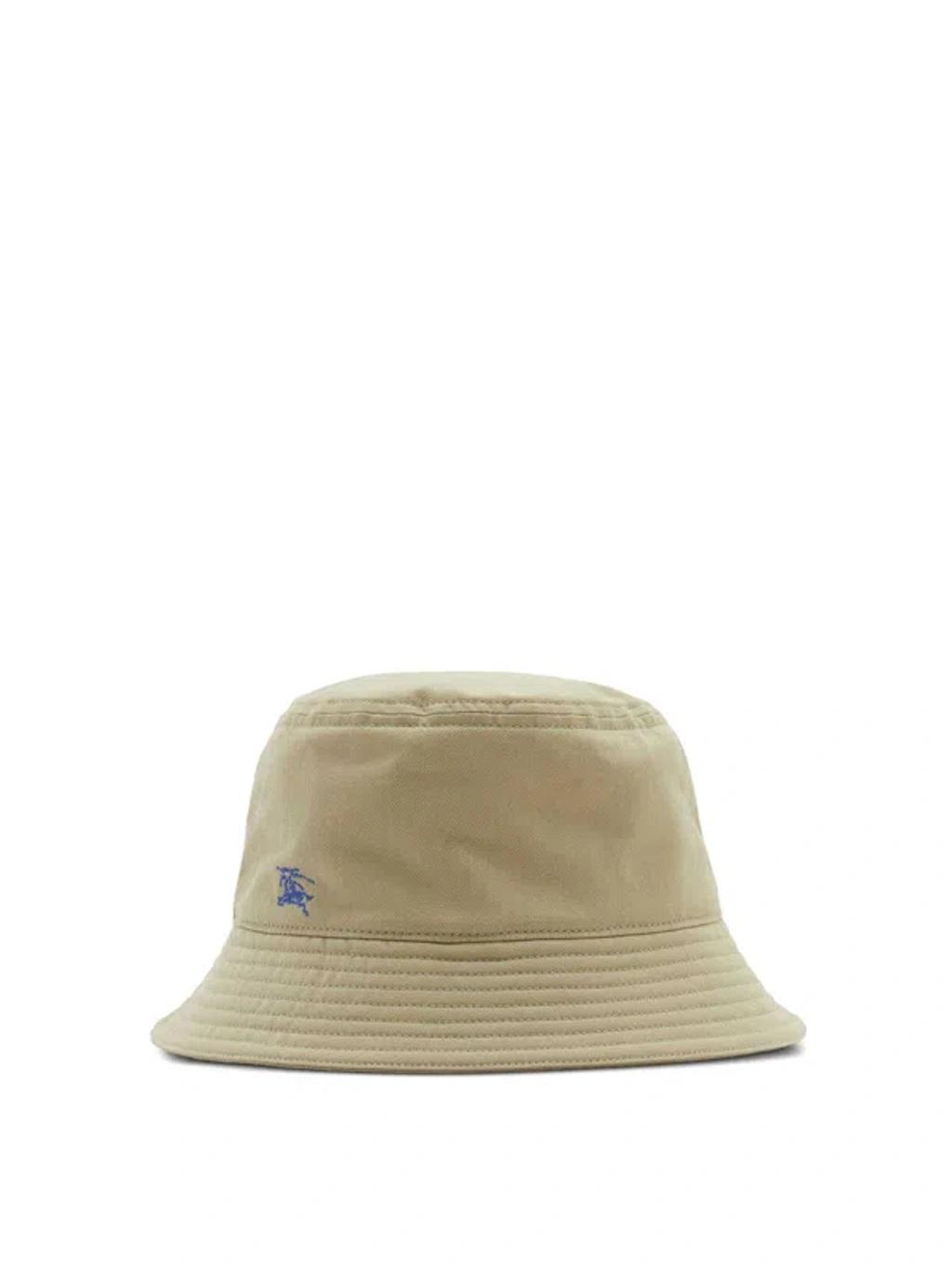 Hat In Brown Product Image