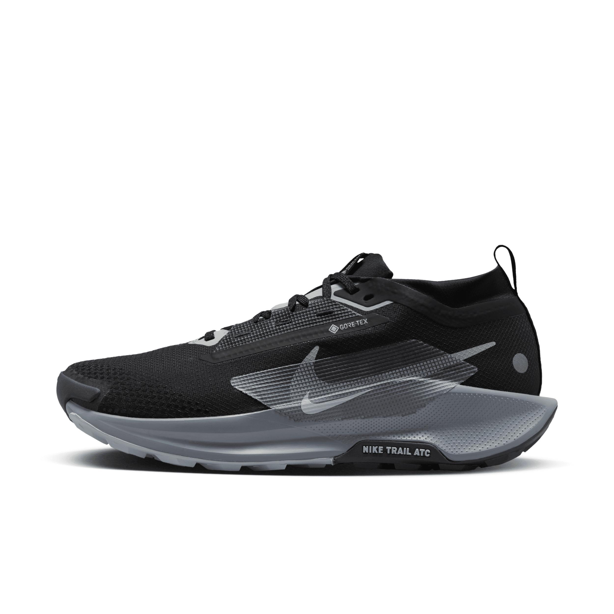 Nike Men's Pegasus Trail 5 GORE-TEX Waterproof Trail Running Shoes Product Image