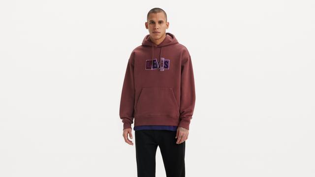 Levi's® Skateboarding™ Hooded Sweatshirt Product Image