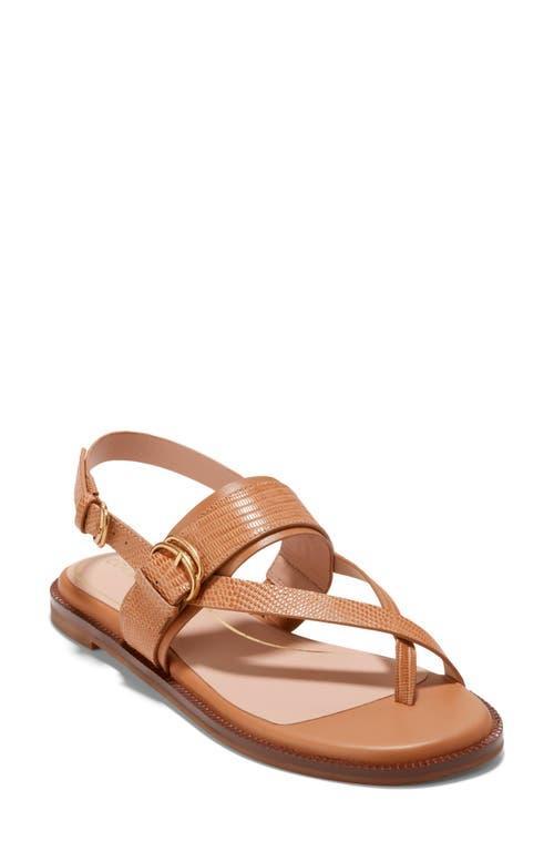 Womens Anica Lux Buckle Sandals Product Image