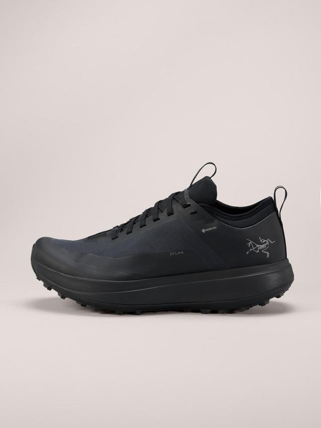 Sylan GTX Shoe Men's Product Image