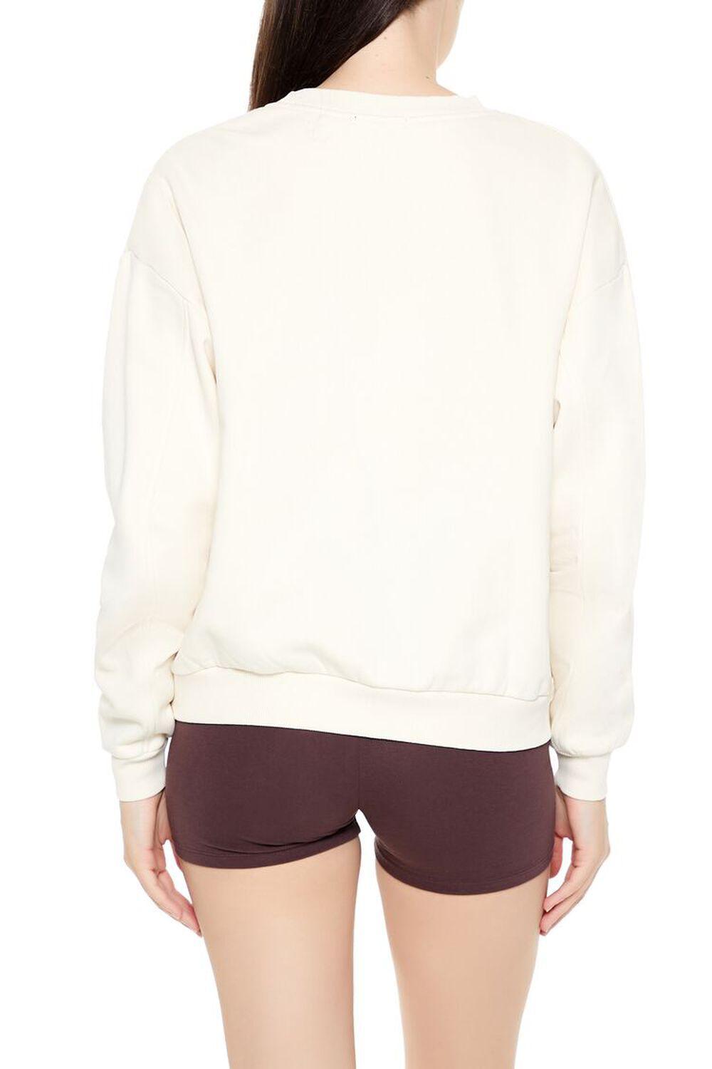 Embroidered Texas Pullover | Forever 21 Product Image