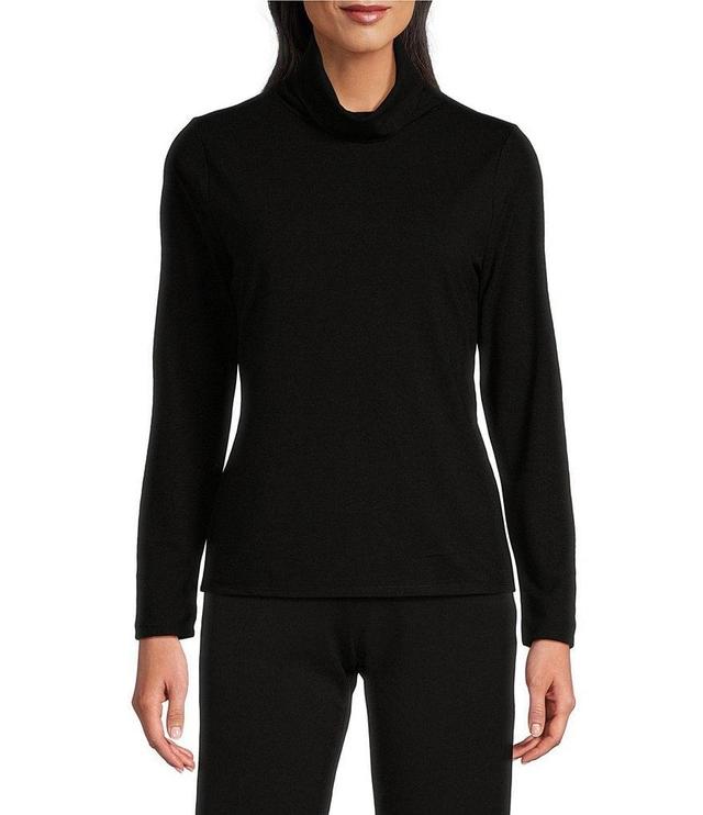 Investments Knit Long Sleeve Turtle Neck Top Product Image