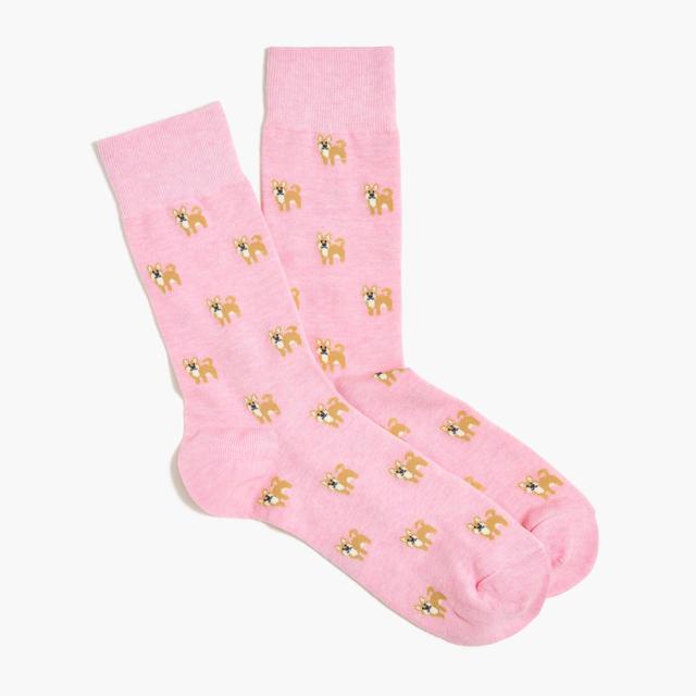 Shiba Inu socks Product Image