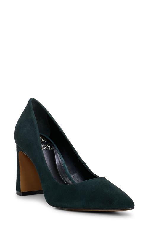 Vince Camuto Dalmanara Pointed Toe Pump Product Image