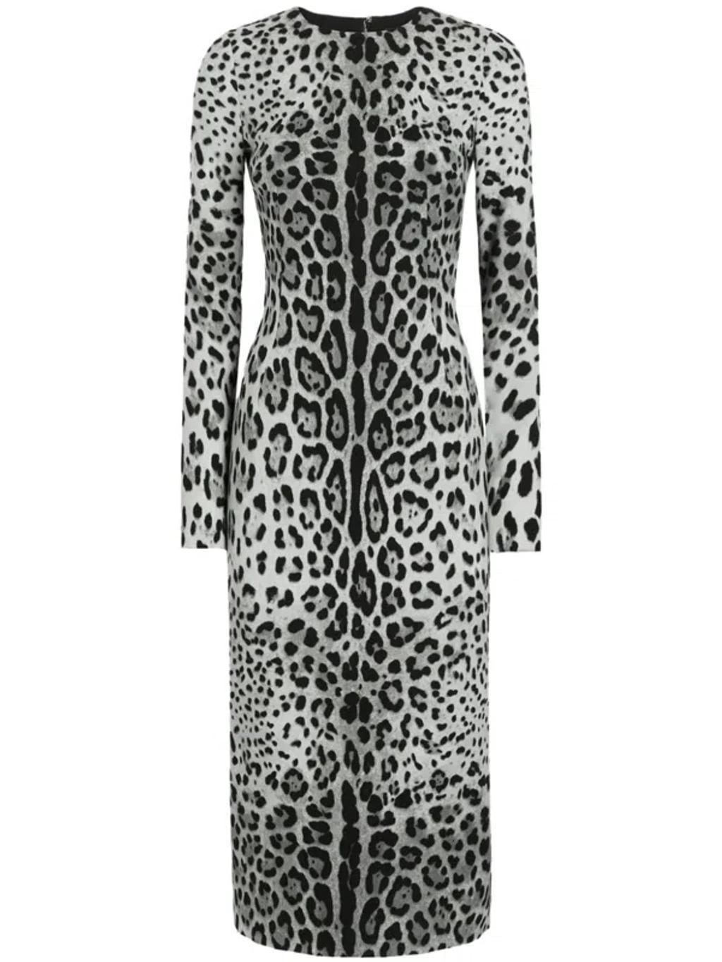 DOLCE & GABBANA Leopard-print Dress In Grey Product Image