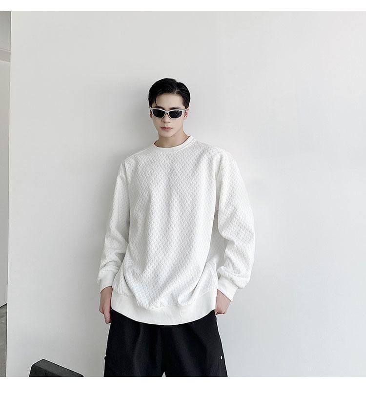 Crew Neck Plain Sweatshirt Product Image