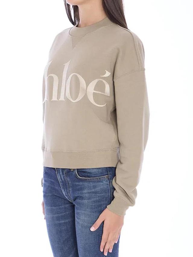 CHLOÉ Generous Sweater In Cotton Fleece In Nude & Neutrals Product Image