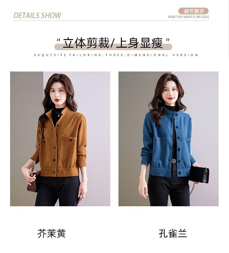 Stand Collar Plain Button Jacket Product Image