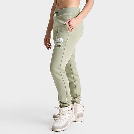 The North Face Inc Womens Coordinate Jogger Pants Product Image