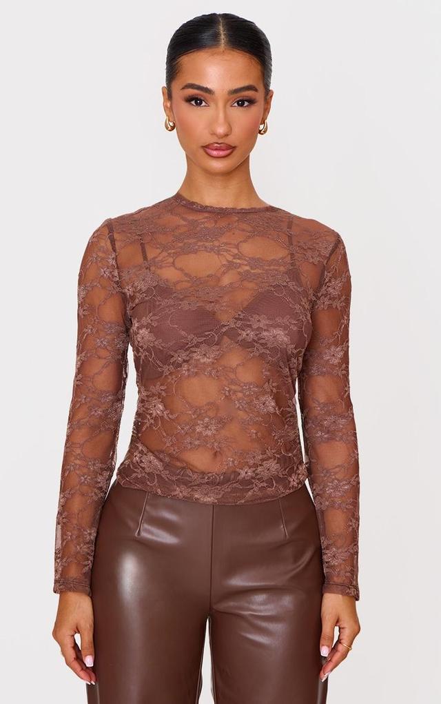 Petite Brown Long Sleeve Lace Top Product Image