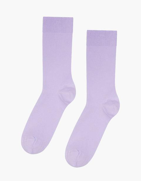 Classic Organic Sock - Soft Lavender Product Image