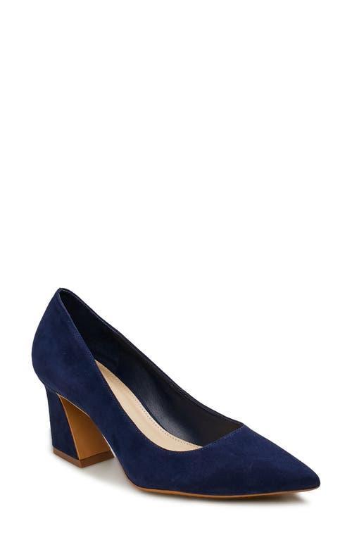 Vince Camuto Hailenda Pointed Toe Pump Product Image