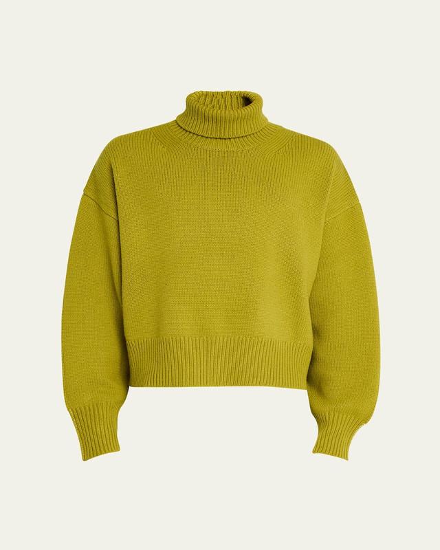 Mens Colorblock Wool Turtleneck Product Image