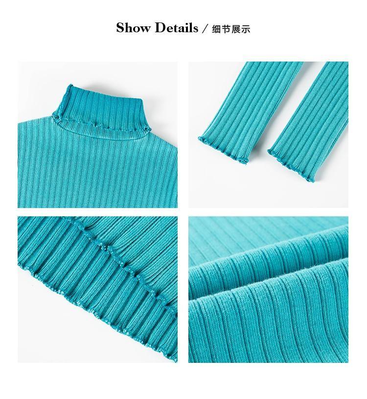 Long-Sleeve Turtleneck Plain Ribbed Knit Top Product Image