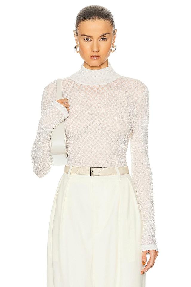 Mesh Turtleneck Product Image