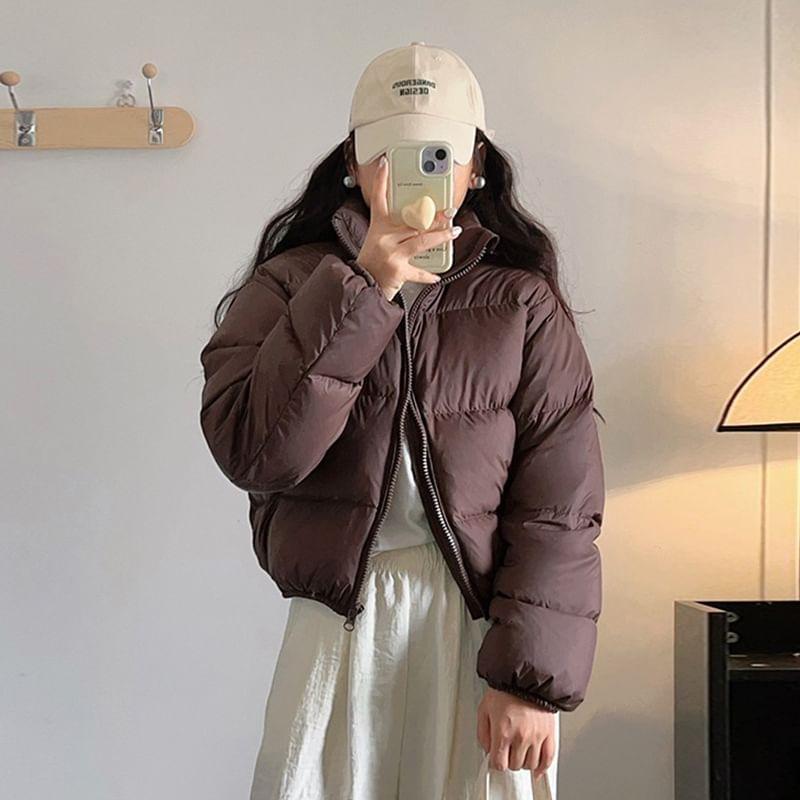 Plain Zip-Up Puffer Jacket Product Image