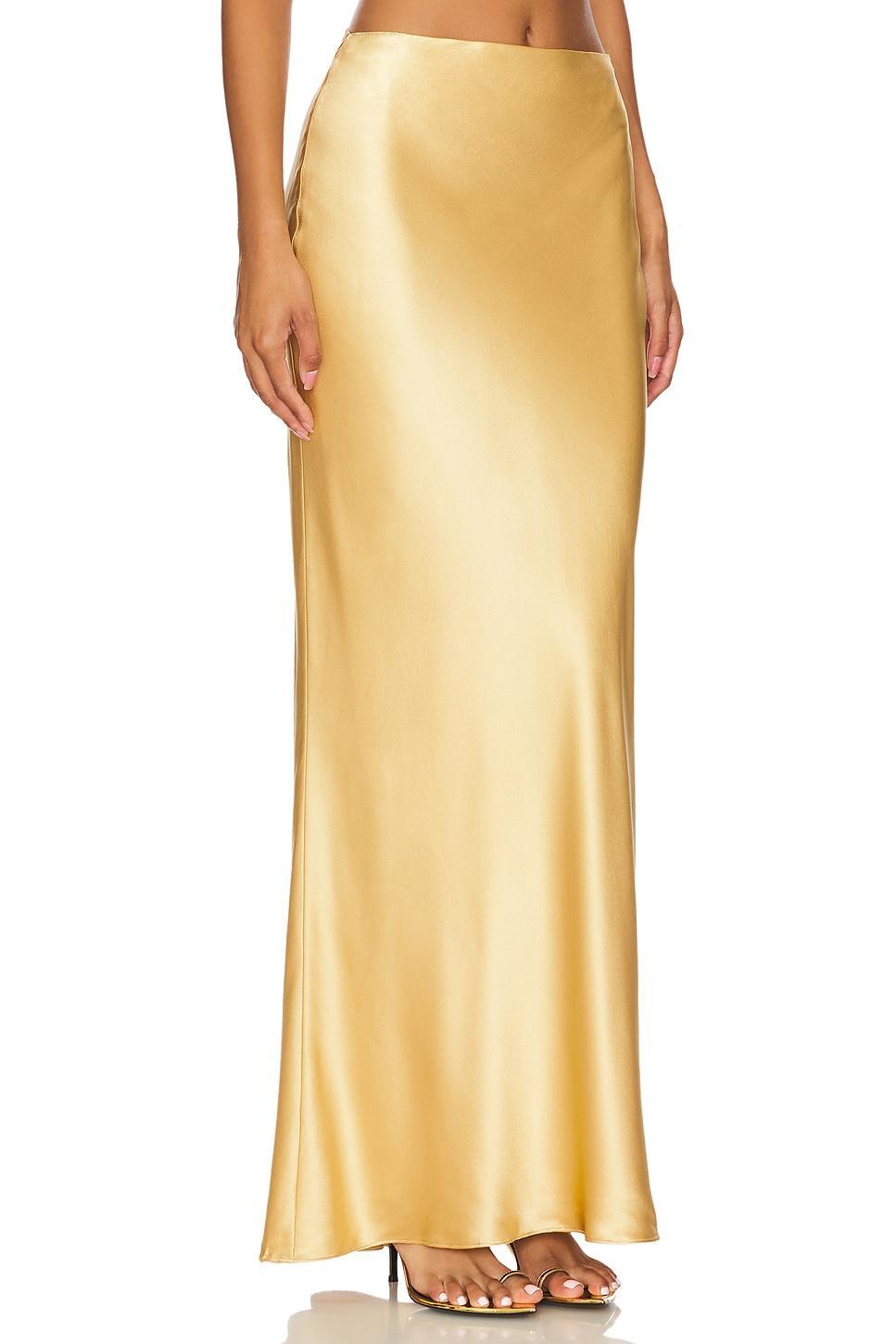 Bias Maxi Skirt Product Image