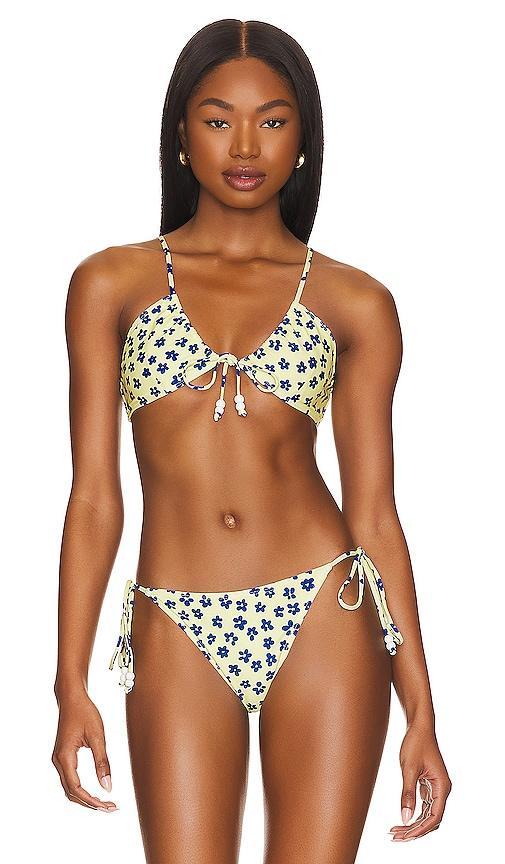 Shae Bikini Top Product Image