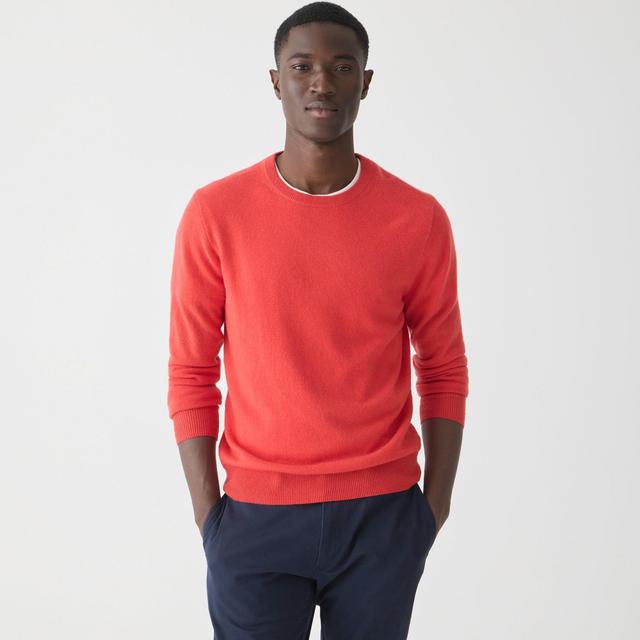 Cashmere crewneck sweater Product Image