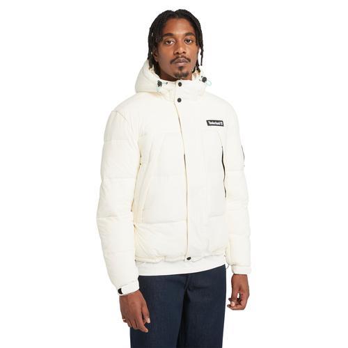 Timberland Mens Timberland DWR Outdoor Archive Puffer Jacket - Mens Product Image