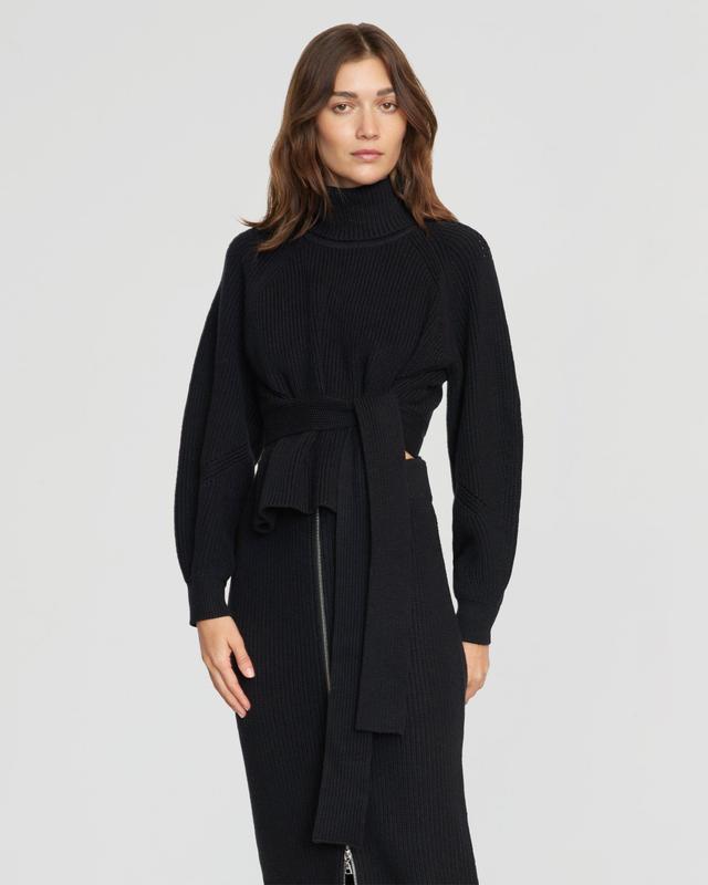 Hiwa Tie-Waist Turtleneck Sweater Product Image