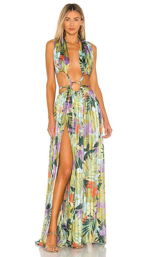 Tropics Maxi Dress Product Image