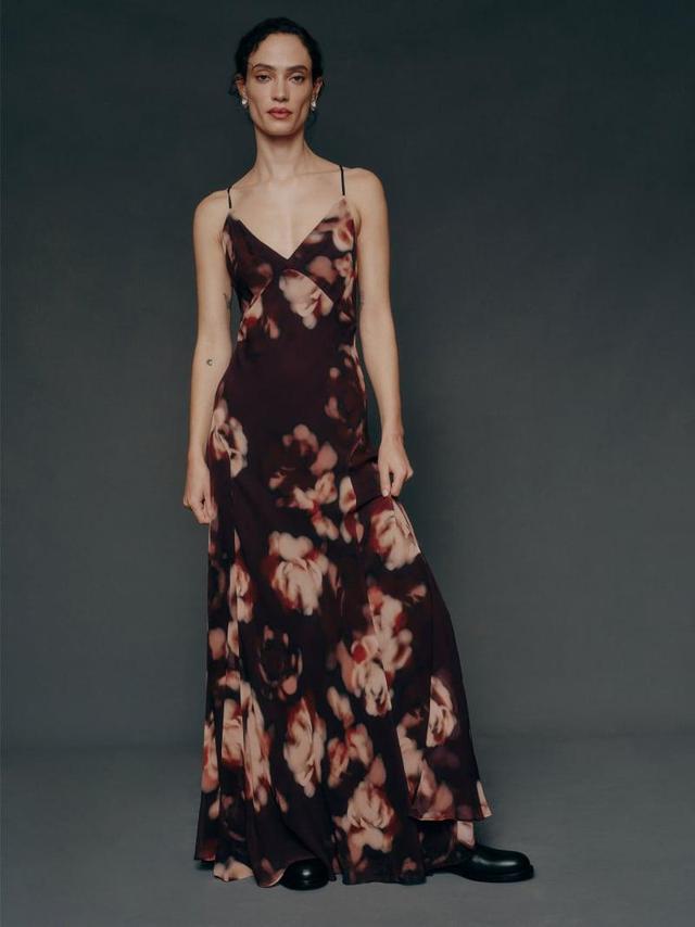 Darwin Dress Product Image