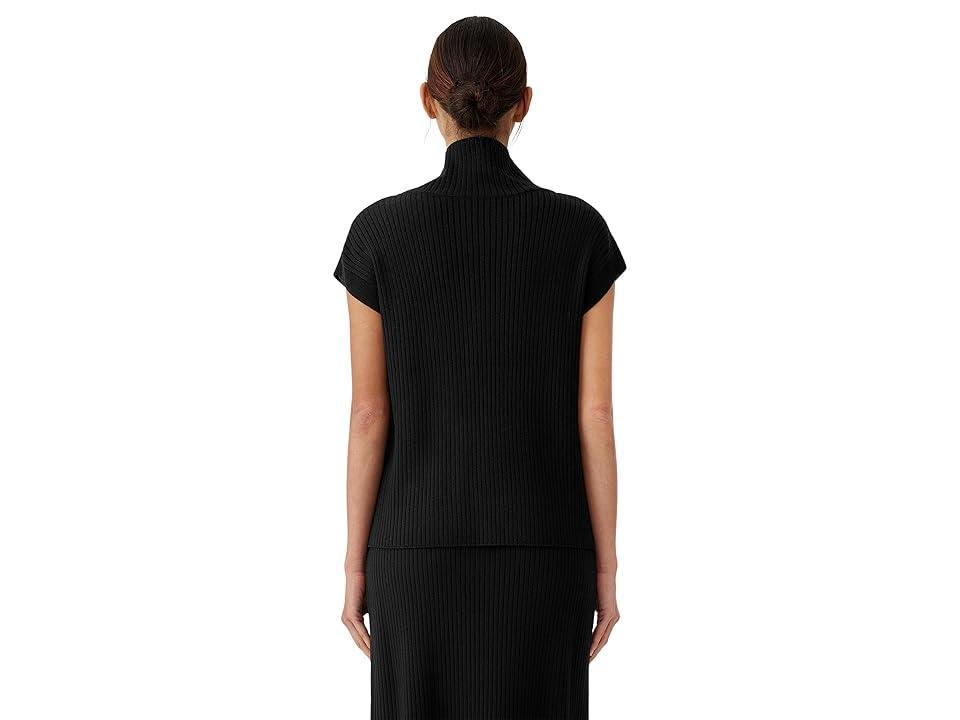 Eileen Fisher Turtleneck Merino Wool Short Sleeve Sweater Product Image