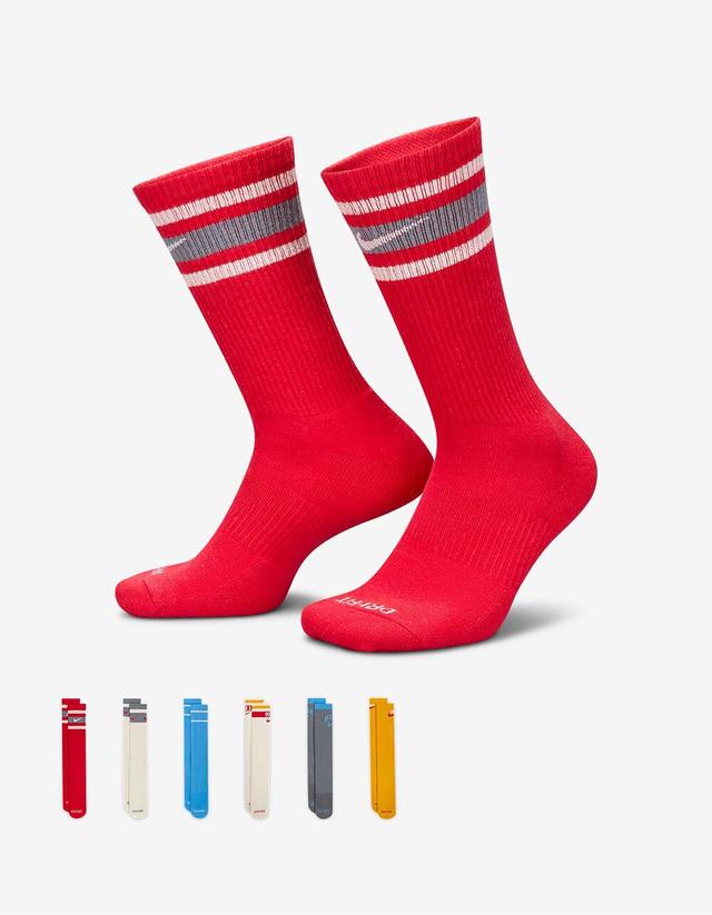 NIKE Everyday Plus Cushioned 6 Pack Crew Socks Product Image