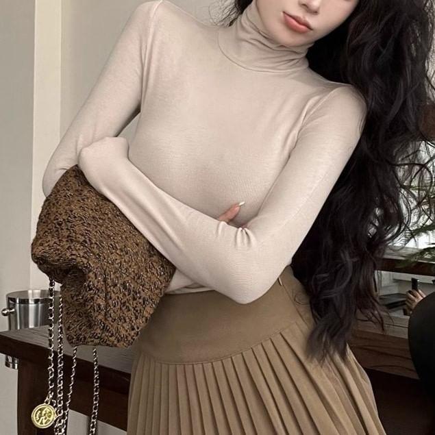 Long Sleeve Turtleneck Plain Top Product Image