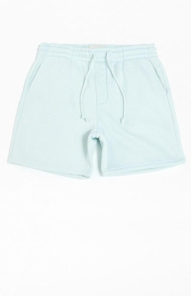 Men's Fleece Volley Shorts - Product Image