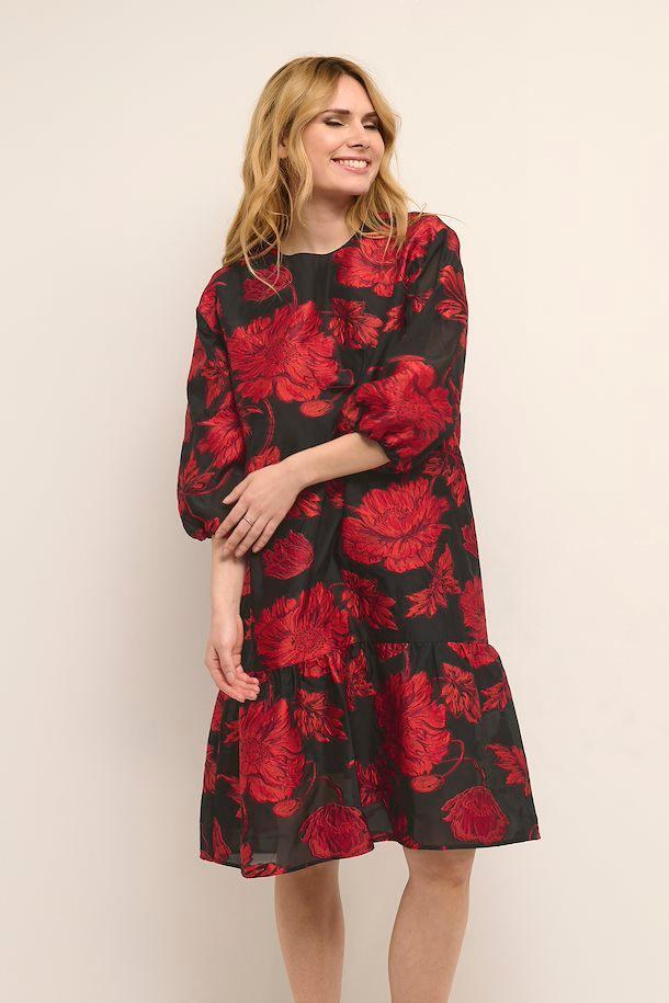 CUaida Dress Product Image