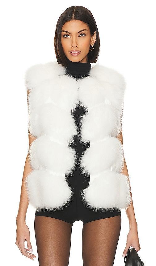 Faux Fur Vest Product Image