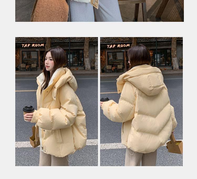 Hooded Plain Zip Puffer Jacket Product Image