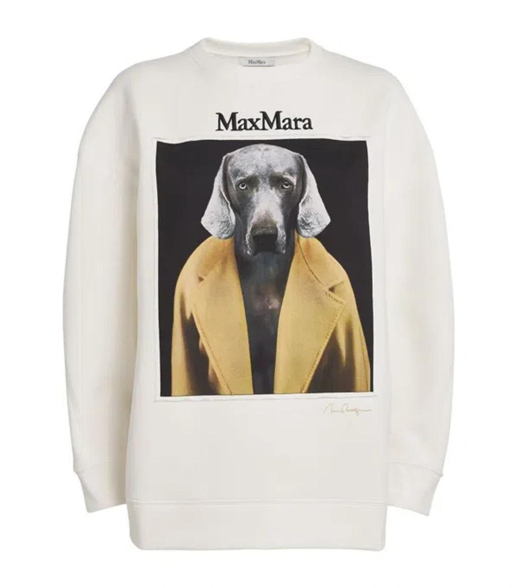 MAX MARA Sweaters In Beige Product Image