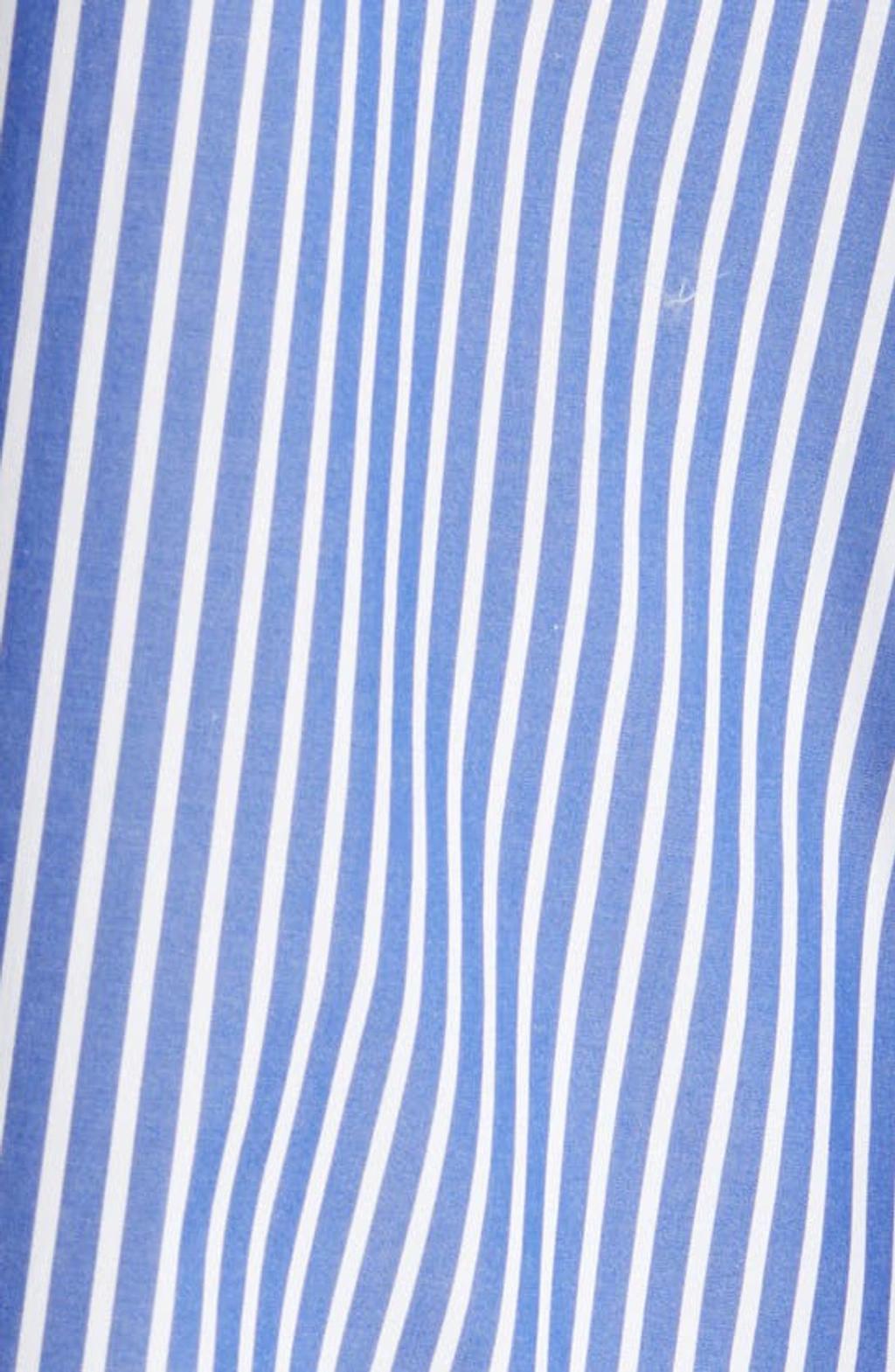 Nadine Shirtdress In Blue Stripe Product Image