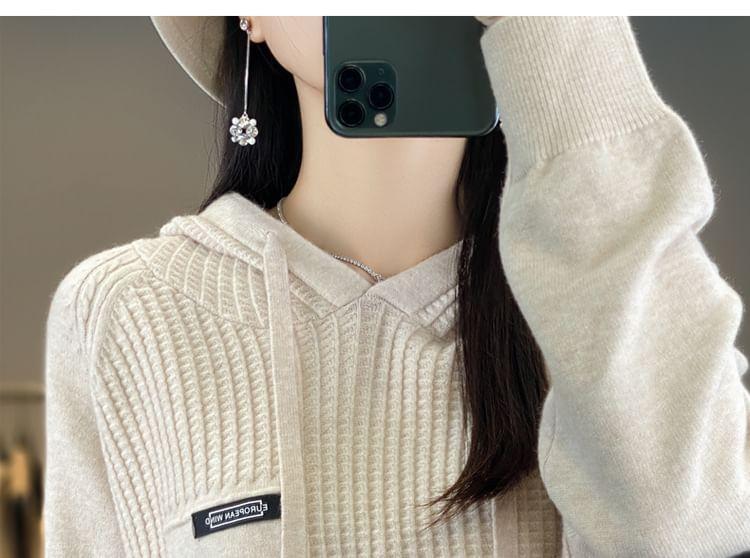 Plain Hood Sweater Product Image